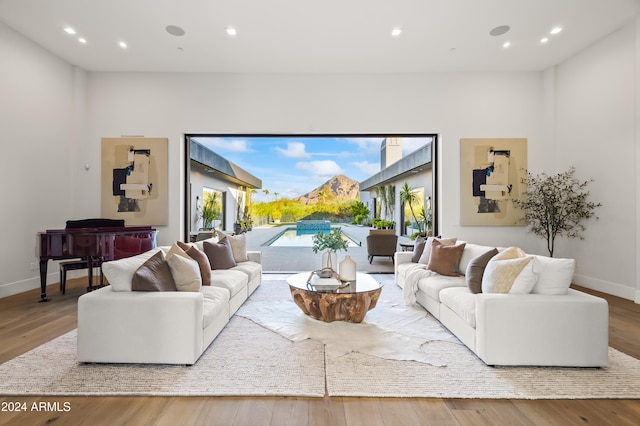 living room with hardwood / wood-style floors