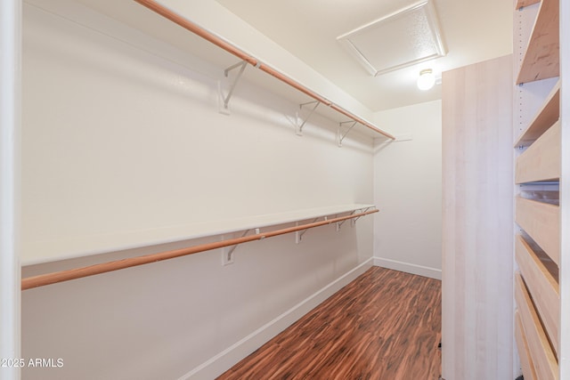 238 W Myrna Ln, Tempe, AZ 85284 - walk in closet featuring dark wood-style floors