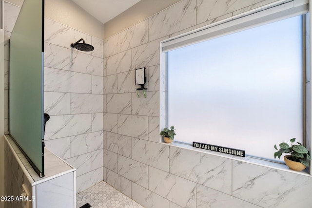 19002 N 25th Pl, Phoenix, AZ 85050 - full bathroom with walk in shower