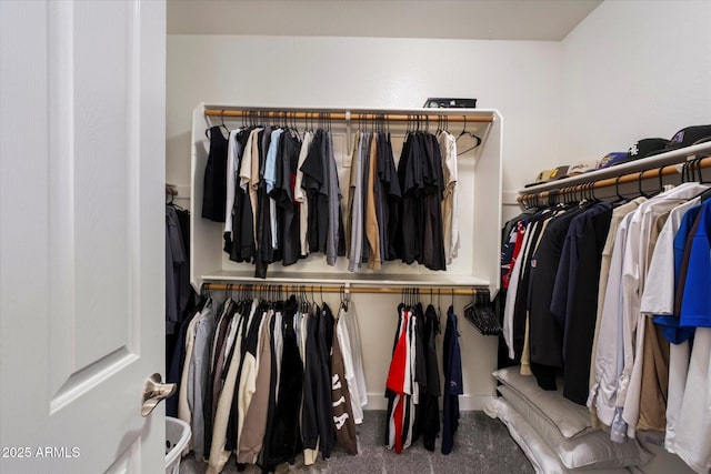 19002 N 25th Pl, Phoenix, AZ 85050 - walk in closet featuring carpet
