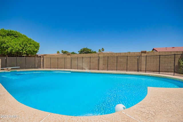 400 W Crofton St, Chandler, AZ 85225 - view of swimming pool featuring a diving board