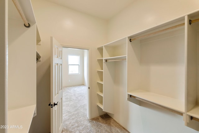 48111 N 7th Ave, New River, AZ 85087 - walk in closet featuring light colored carpet