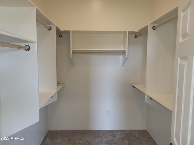 48111 N 7th Ave, New River, AZ 85087 - walk in closet featuring carpet flooring