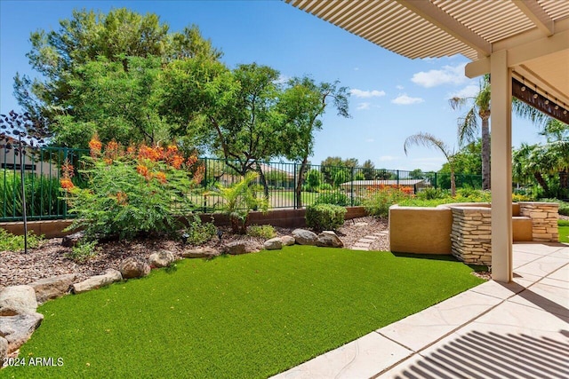 view of yard featuring a patio and a pergola