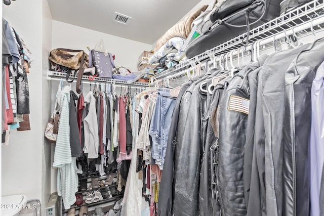 view of spacious closet