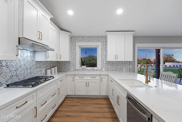 kitchen with dark hardwood / wood-style flooring, light stone counters, sink, appliances with stainless steel finishes, and white cabinetry