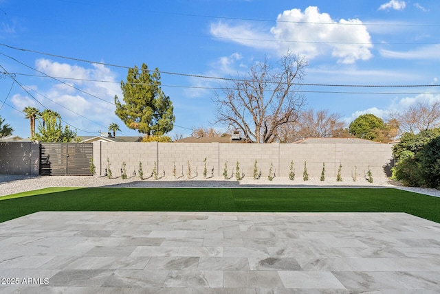 view of yard featuring a patio area