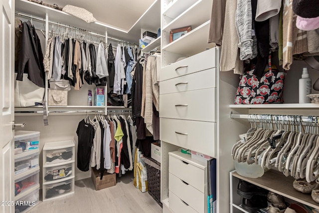 walk in closet featuring wood finished floors