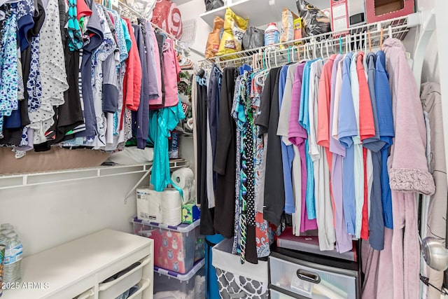 view of walk in closet