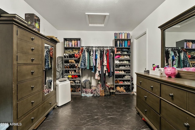 view of walk in closet