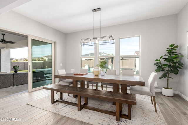 dining room with light hardwood / wood-style flooring