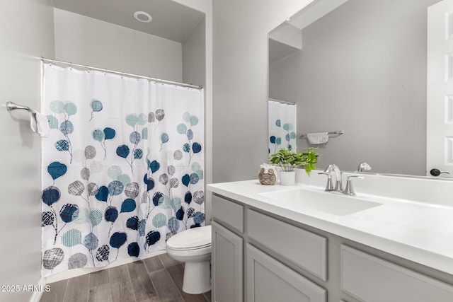 bathroom with toilet and vanity