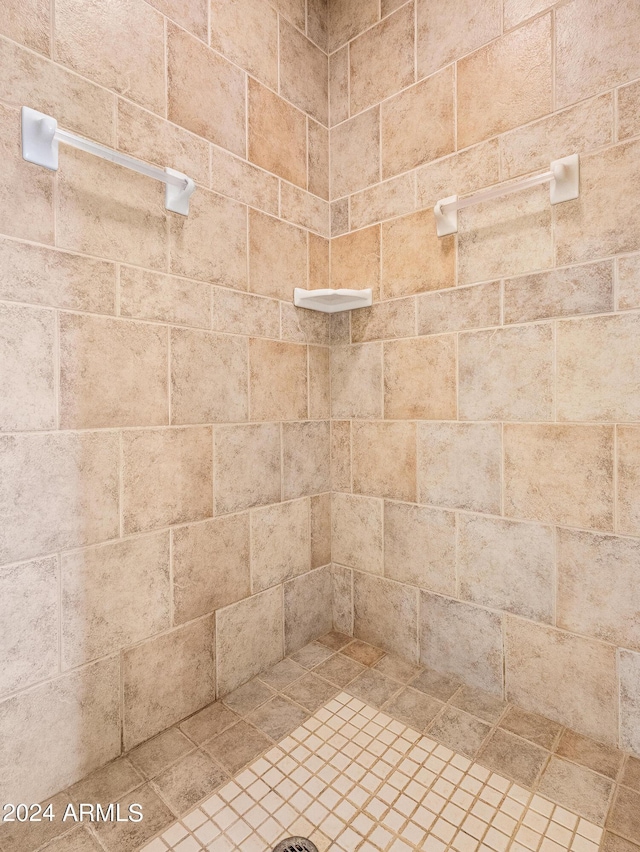 room details with a tile shower