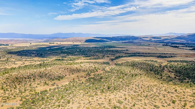 view of mountain feature