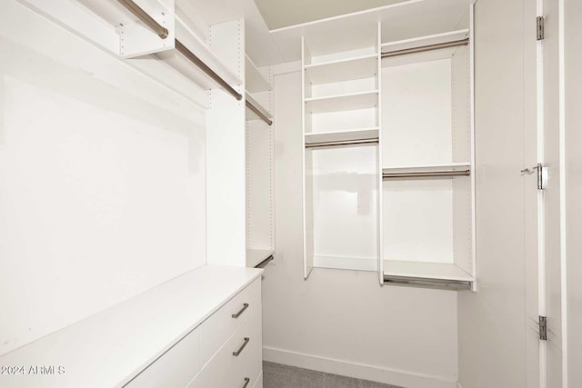 view of spacious closet