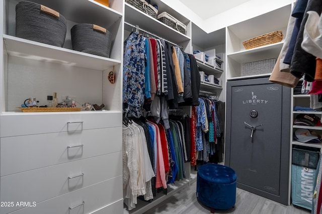 spacious closet featuring wood-type flooring