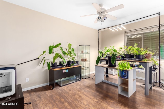 interior space with dark hardwood / wood-style floors and ceiling fan