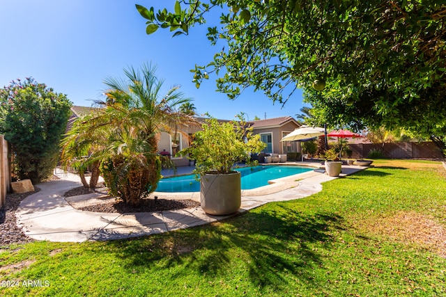 view of swimming pool with a yard and a patio area