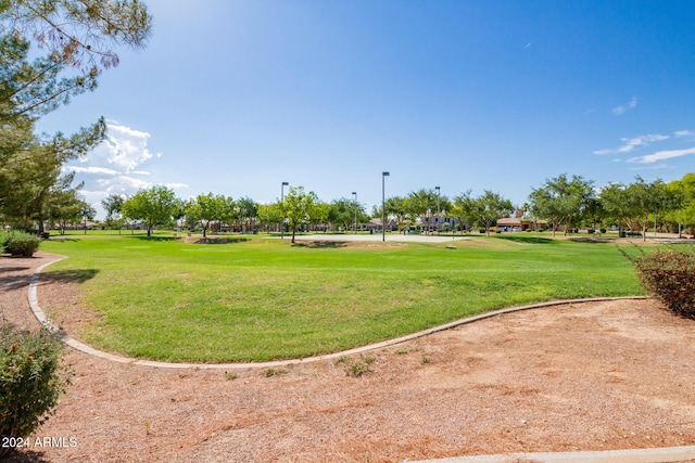 view of community featuring a yard