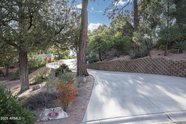 801 W Zane Grey Cir, Payson, AZ 85541 - view of yard