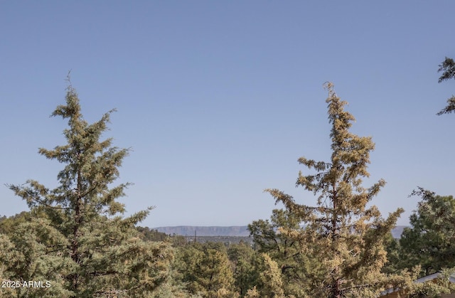 property view of mountains with a view of trees