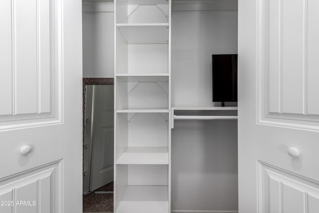 view of closet