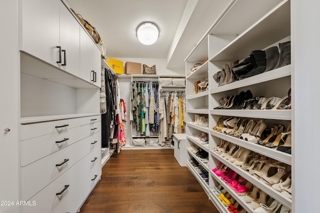 walk in closet with dark wood-style flooring