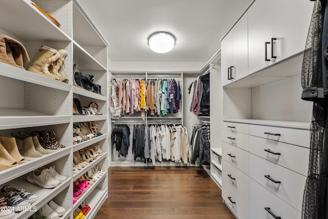 spacious closet featuring dark wood-style flooring