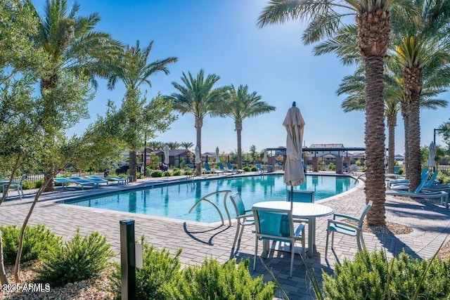 view of pool with a patio