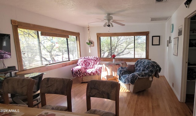 living room with ceiling fan, plenty of natural light, and light wood-type flooring