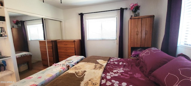 bedroom with hardwood / wood-style flooring, a closet, and multiple windows