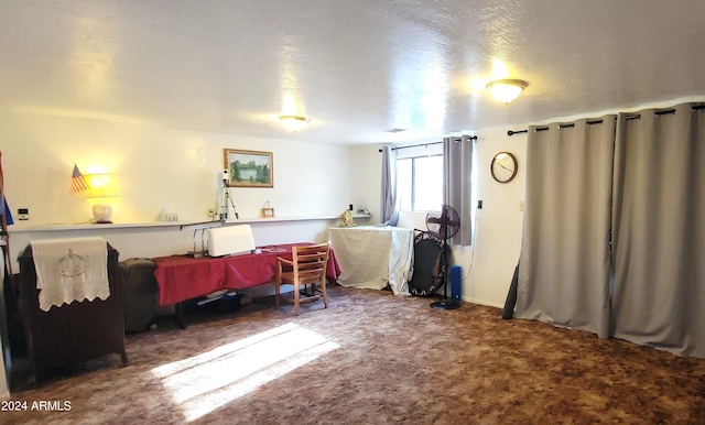 interior space featuring carpet floors and a textured ceiling