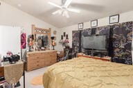 bedroom featuring ceiling fan and vaulted ceiling