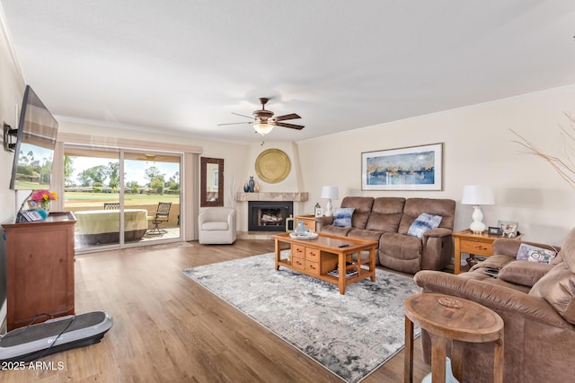 living room with ornamental molding, a fireplace with raised hearth, ceiling fan, and light wood finished floors