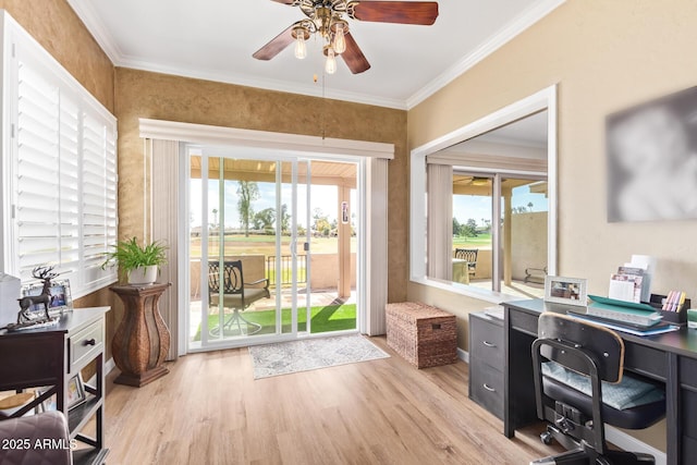 office space featuring light wood finished floors, a ceiling fan, and crown molding