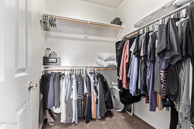 walk in closet featuring carpet