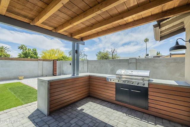 view of patio / terrace with fence and exterior kitchen