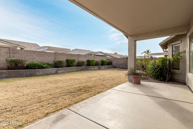 view of yard featuring a fenced backyard and a patio