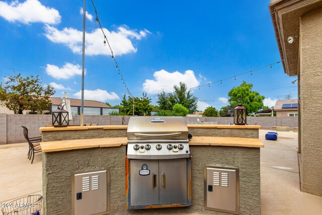 view of yard with a fenced in pool, a patio, and exterior kitchen