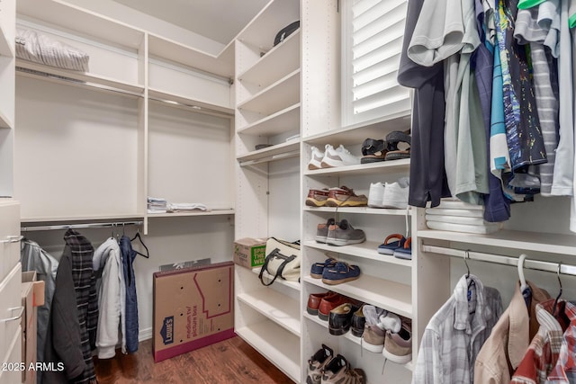 walk in closet featuring wood finished floors