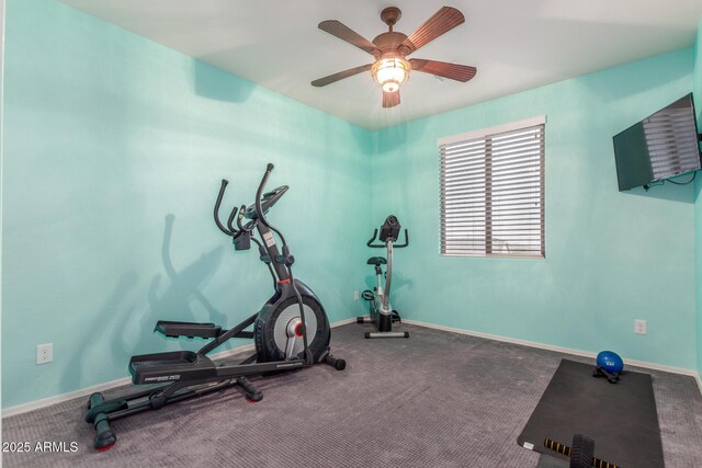 workout room featuring a ceiling fan, baseboards, and carpet floors