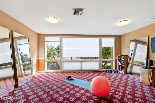 exercise area featuring light carpet