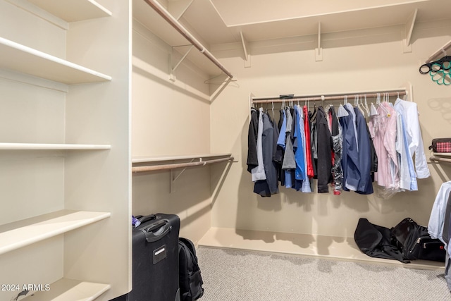 spacious closet featuring carpet