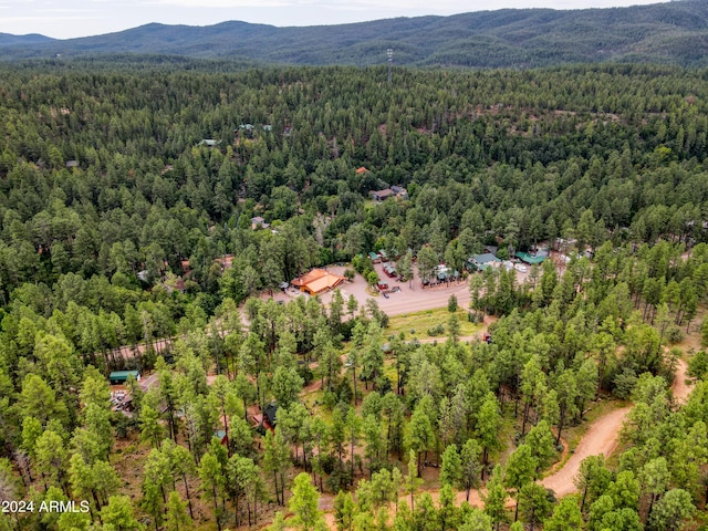 aerial view featuring a mountain view and a wooded view