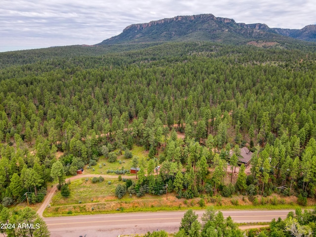 drone / aerial view with a mountain view and a view of trees