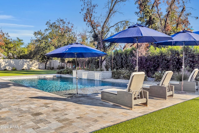 view of swimming pool with a patio