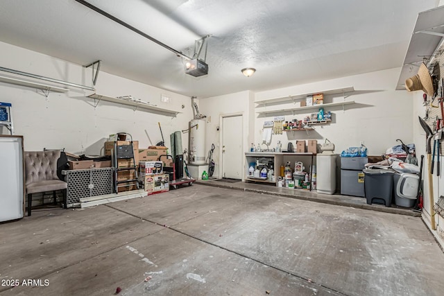 6846 S 26th Pl, Phoenix, AZ 85042 - garage with a garage door opener and gas water heater