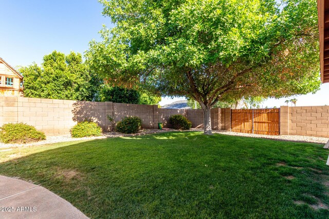 2615 N 123rd Dr, Avondale, AZ 85392 - view of yard