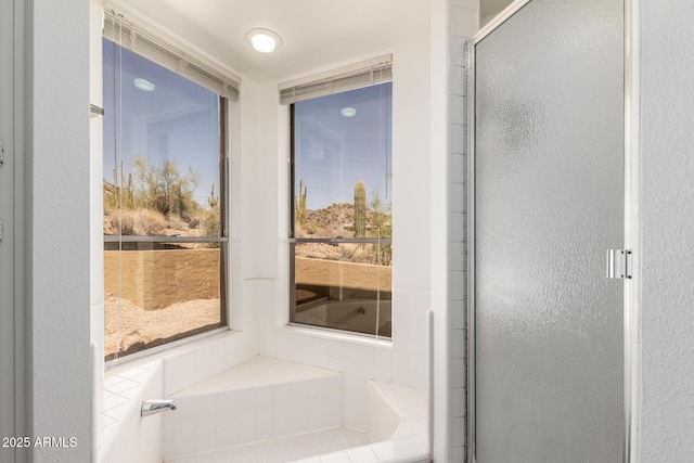 8752 E Range Rider Trl, Mesa, AZ 85207 - full bathroom with a stall shower
