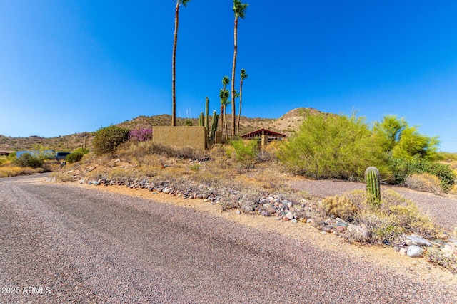 8752 E Range Rider Trl, Mesa, AZ 85207 - view of mountain background